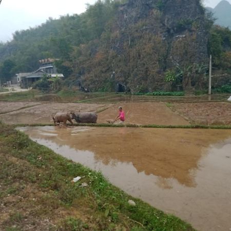 Truong Huy Homestay マイチャウ エクステリア 写真