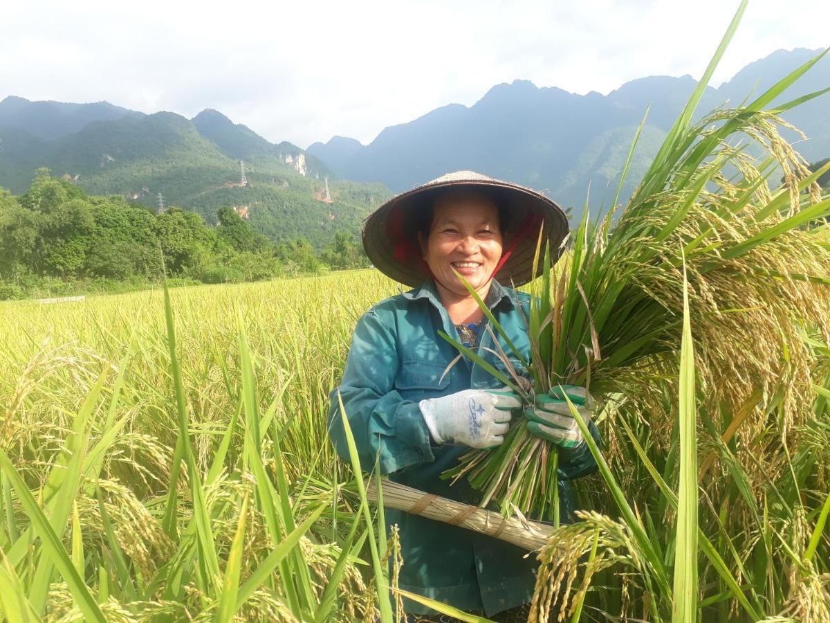 Truong Huy Homestay マイチャウ エクステリア 写真